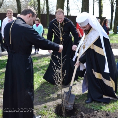 Глава УГКЦ Святослав і Блаженніший Любомир у заповіднику Тараса Шевченка посадили іменні дуби